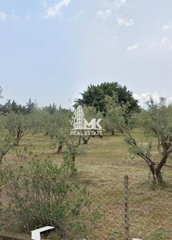 Οικόπεδο 990τ.μ. για πώληση-Πολύγυρος » Καλύβες πολυγύρου