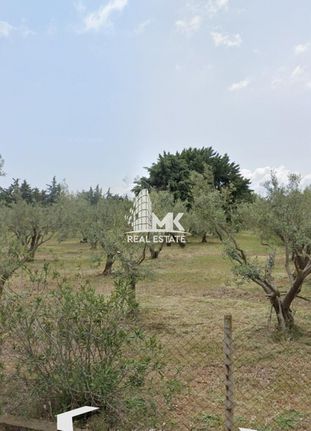 Οικόπεδο 990 τ.μ. για πώληση, Χαλκιδική, Πολύγυρος