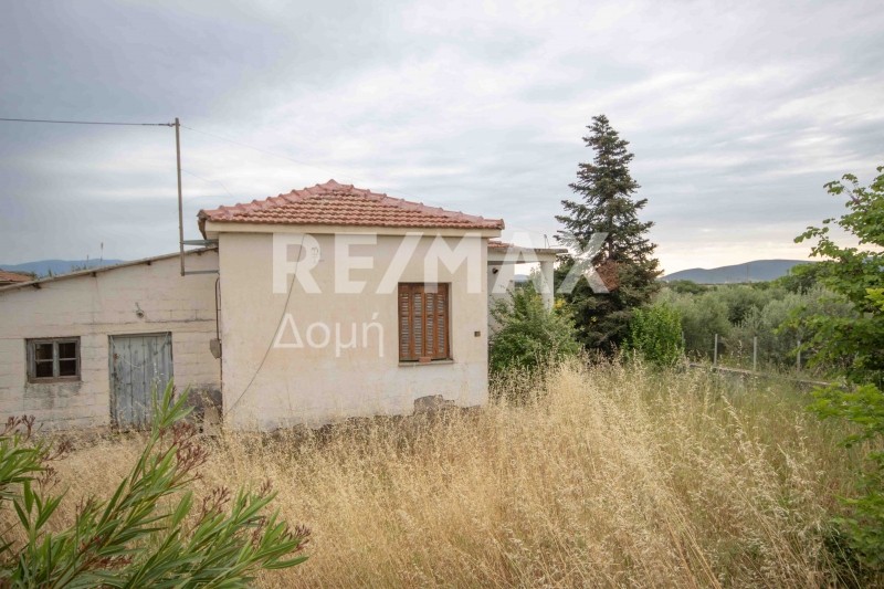 Μονοκατοικία 70 τ.μ. προς πώληση, Νέος Πλάτανος
