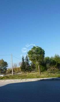 Οικόπεδο 730τ.μ. για πώληση-Πάτρα » Γλαύκος