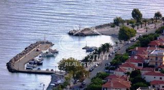 Οικόπεδο 3.600 τ.μ. για πώληση