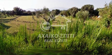 Land plot 4.044sqm for sale-Efpalio » Managouli
