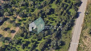 Οικόπεδο 6.357 τ.μ. για πώληση, Αχαΐα, Μεσσατίδα-thumb-4