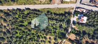 Οικόπεδο 6.357 τ.μ. για πώληση, Αχαΐα, Μεσσατίδα-thumb-2