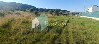 Οικόπεδο 9.500 τ.μ. για πώληση