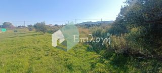 Οικόπεδο 9.500 τ.μ. για πώληση, Αχαΐα, Ρίο-thumb-5