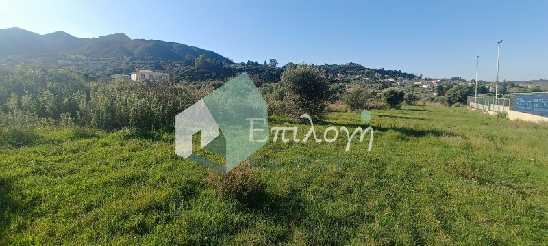 Οικόπεδο 9.500 τ.μ. προς πώληση, Κάτω Καστρίτσι