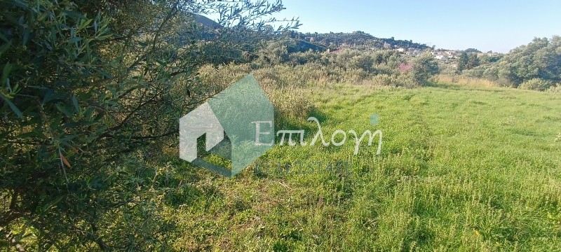 Οικόπεδο 9.500 τ.μ. προς πώληση, Κάτω Καστρίτσι