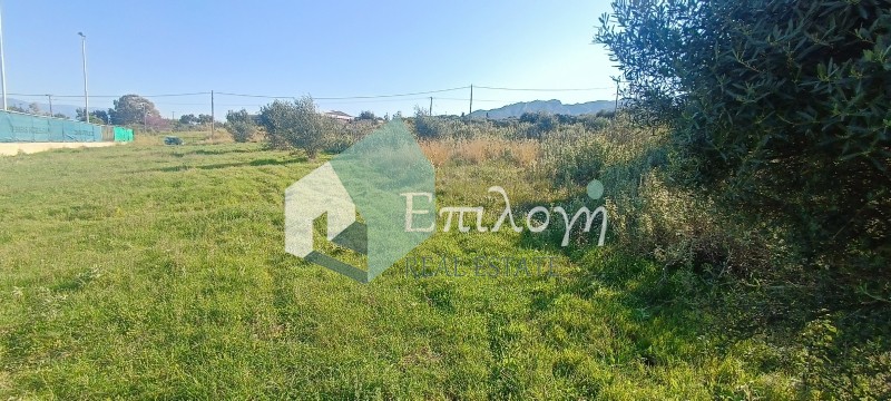 Οικόπεδο 9.500 τ.μ. προς πώληση, Κάτω Καστρίτσι