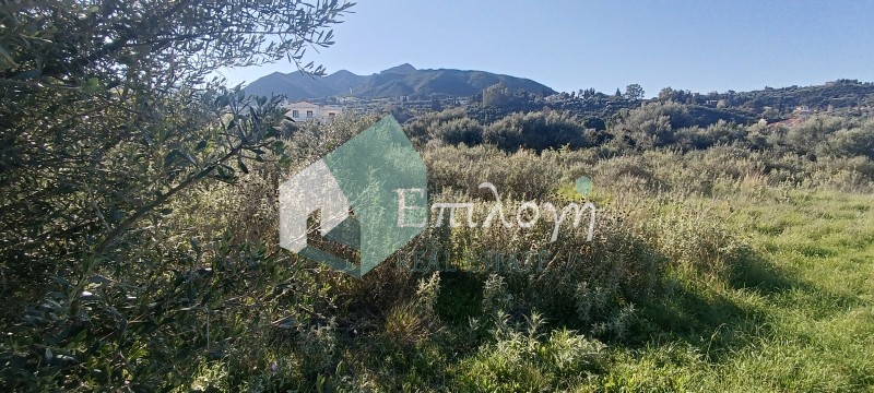 Οικόπεδο 9.500 τ.μ. προς πώληση, Κάτω Καστρίτσι
