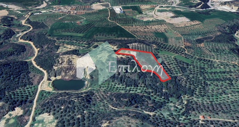 Αγροτεμάχια 8.350 τ.μ. προς πώληση, Διδαχαίικα