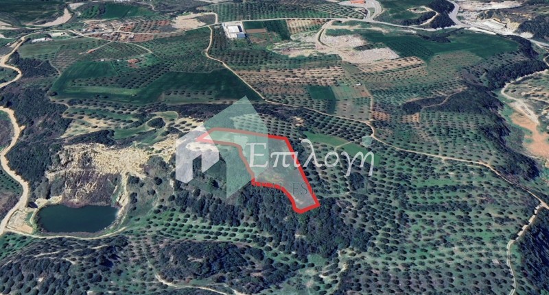Αγροτεμάχια 8.350 τ.μ. προς πώληση, Διδαχαίικα