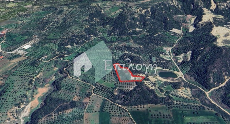 Αγροτεμάχια 8.350 τ.μ. προς πώληση, Διδαχαίικα