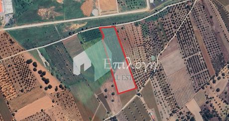 Parcel 21.000 sqm for sale