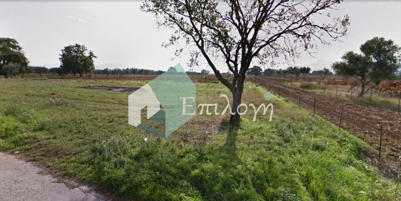 Αγροτεμάχια 21.000 τ.μ. προς πώληση, Κουνελαίικα