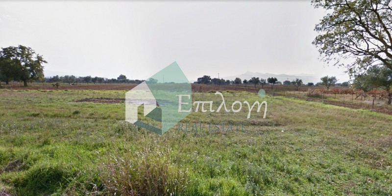 Αγροτεμάχια 21.000 τ.μ. προς πώληση, Κουνελαίικα