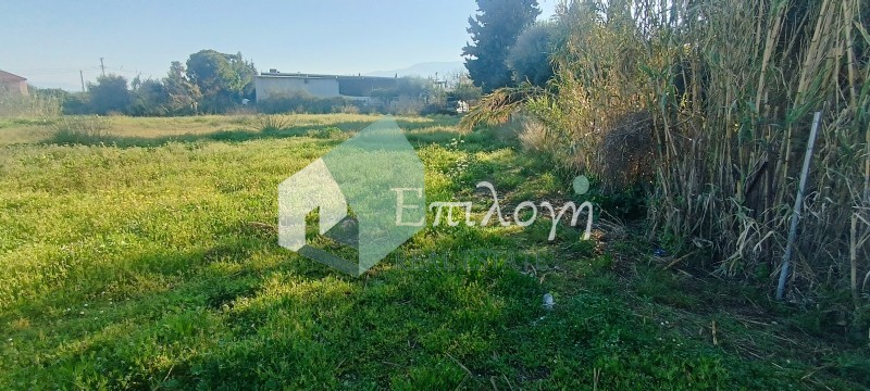 Οικόπεδο 4.200 τ.μ. προς πώληση, Παραλία Αχαΐας