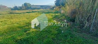 Οικόπεδο 4.200 τ.μ. πρός πώληση, Αχαΐα, Παραλία-thumb-4