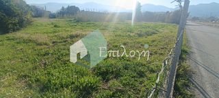 Οικόπεδο 4.200 τ.μ. πρός πώληση, Αχαΐα, Παραλία-thumb-7