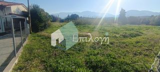 Οικόπεδο 4.200 τ.μ. πρός πώληση, Αχαΐα, Παραλία-thumb-6