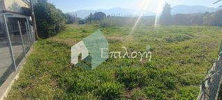 Οικόπεδο 4.200 τ.μ. πρός πώληση, Αχαΐα, Παραλία-thumb-8