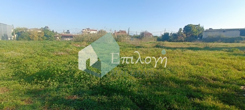 Οικόπεδο 4.200 τ.μ. για πώληση, Αχαΐα, Παραλία