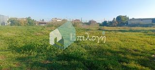 Οικόπεδο 4.200 τ.μ. για πώληση