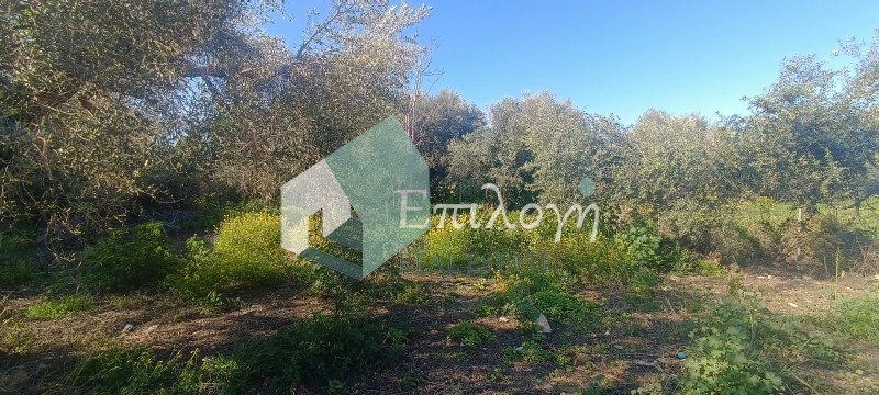 Οικόπεδο 500 τ.μ. προς πώληση, Ακταίο Ρίου