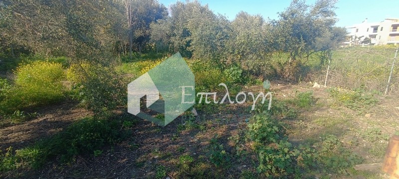 Οικόπεδο 500 τ.μ. προς πώληση, Ακταίο Ρίου