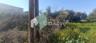 Οικόπεδο 500 τ.μ. προς πώληση, Ακταίο Ρίου-thumb-5