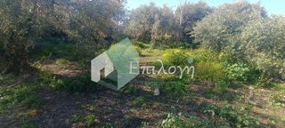 Οικόπεδο 500 τ.μ. προς πώληση, Ακταίο Ρίου-thumb-3