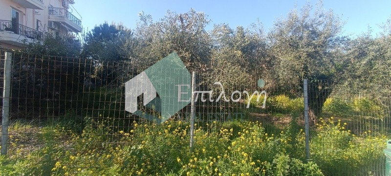 Οικόπεδο 500 τ.μ. προς πώληση, Ακταίο Ρίου