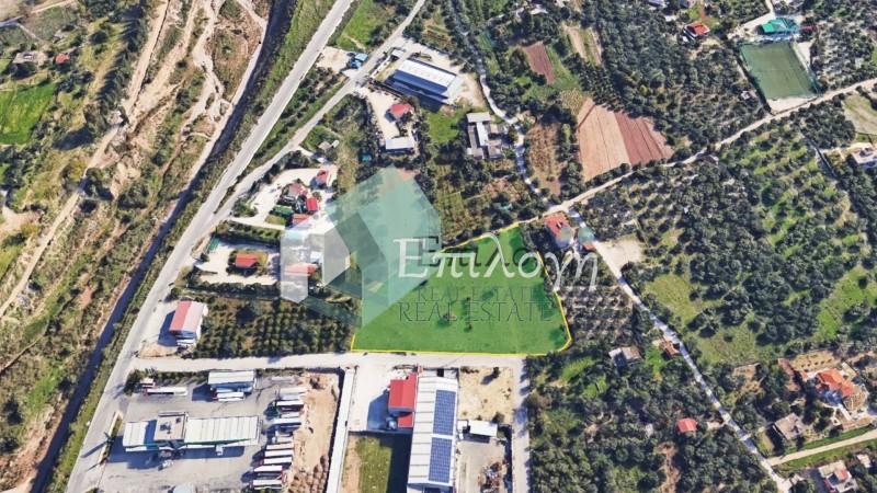 Αγροτεμάχια 8.200 τ.μ. προς πώληση, Δεμένικα