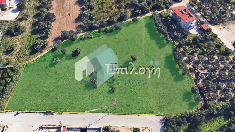 Αγροτεμάχια 8.200 τ.μ. προς πώληση, Δεμένικα