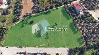 Αγροτεμάχια 8.200 τ.μ. για πώληση