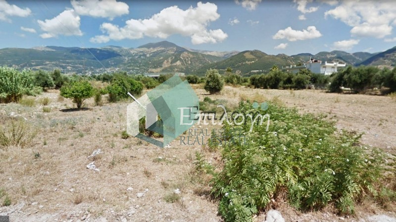 Αγροτεμάχια 8.200 τ.μ. προς πώληση, Δεμένικα