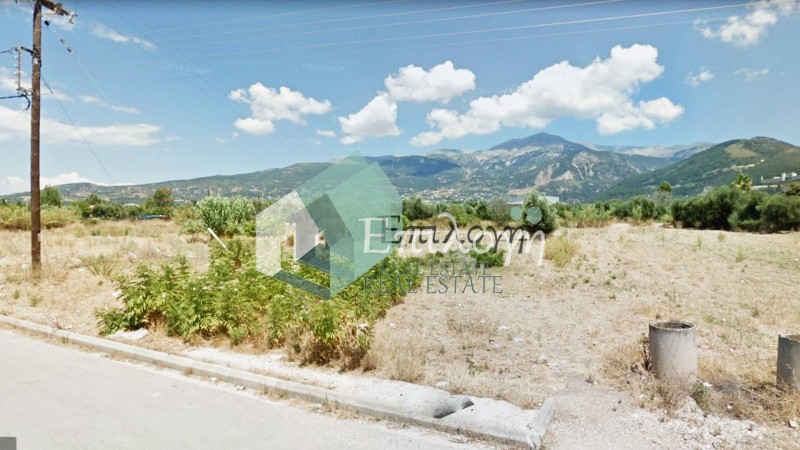 Αγροτεμάχια 8.200 τ.μ. προς πώληση, Δεμένικα