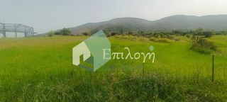 Αγροτεμάχια 17.390 τ.μ. για πώληση