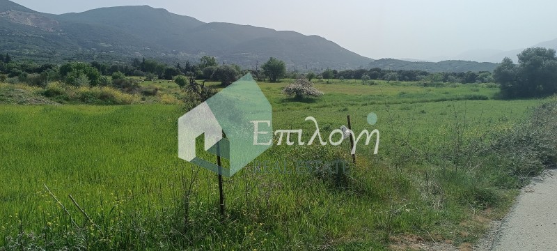 Αγροτεμάχια 17.390 τ.μ. προς πώληση, Λυγιές