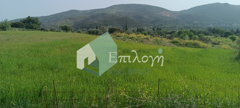 Αγροτεμάχια 17.390 τ.μ. προς πώληση, Λυγιές