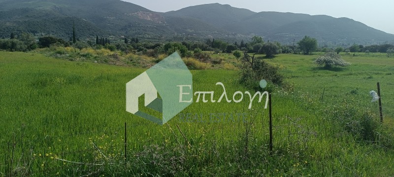 Αγροτεμάχια 17.390 τ.μ. προς πώληση, Λυγιές