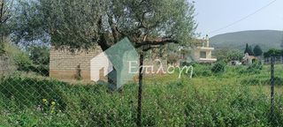 Αποθήκη 50 τ.μ. για ενοικίαση, Αχαΐα, Μεσσατίδα-thumb-4