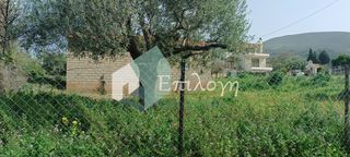Αποθήκη 50 τ.μ. για ενοικίαση, Αχαΐα, Μεσσατίδα-thumb-5
