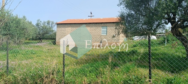 Αποθήκη 50 τ.μ. πρός ενοικίαση, Αχαΐα, Μεσσατίδα
