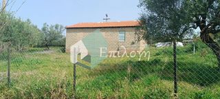 Αποθήκη 50 τ.μ. για ενοικίαση, Αχαΐα, Μεσσατίδα-thumb-2