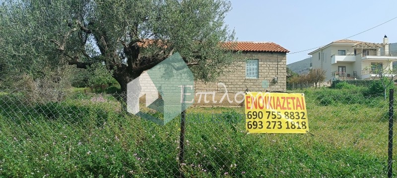 Αποθήκη 50 τ.μ. πρός ενοικίαση, Αχαΐα, Μεσσατίδα
