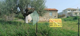 Αποθήκη 50 τ.μ. για ενοικίαση, Αχαΐα, Μεσσατίδα-thumb-3
