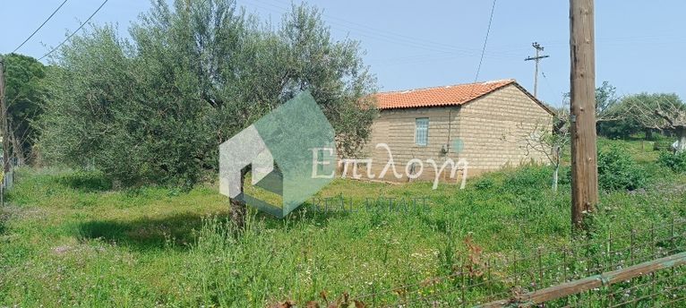 Αποθήκη 50 τ.μ. για ενοικίαση, Αχαΐα, Μεσσατίδα