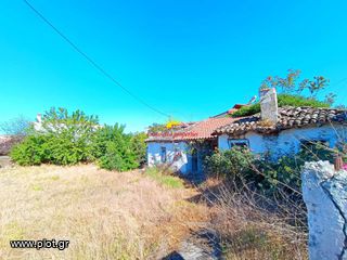 Οικόπεδο 550 τ.μ. για πώληση, Χαλκιδική, Κασσάνδρα-thumb-13