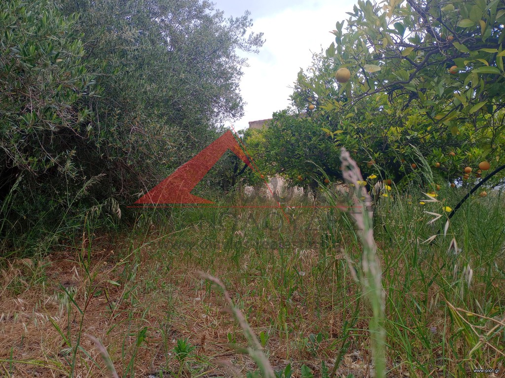 Μονοκατοικία 175 τ.μ. πρός πώληση, Ν. Ρεθύμνου, Γεροπόταμος